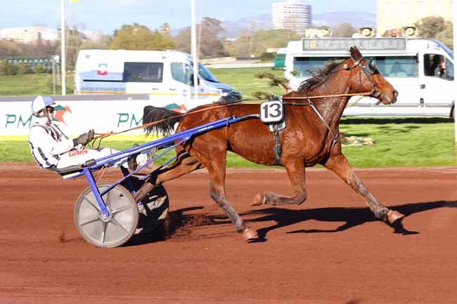 Photo d'arrivée de la course pmu PRIX FIESTA D'ANJOU à MARSEILLE BORELY le Mercredi 25 mars 2026