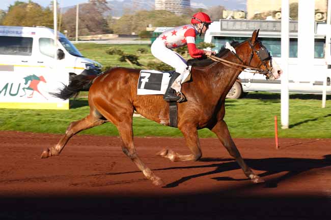 Photo d'arrivée de la course pmu PRIX KING BLACK à MARSEILLE BORELY le Mercredi 25 mars 2026