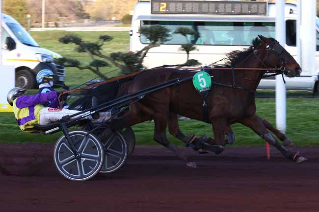 Photo d'arrivée de la course pmu PRIX GASPAR D'ANGIS à MARSEILLE BORELY le Mercredi 25 mars 2026