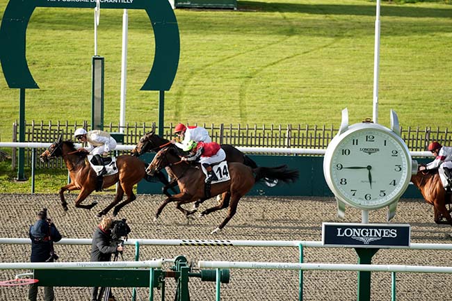 Photo d'arrivée de la course pmu PRIX DES PORCELAINES KAKIEMON à CHANTILLY le Jeudi 26 mars 2026
