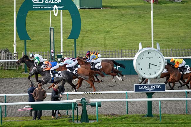 Photo d'arrivée de la course pmu PRIX DE LA FABRIQUE D'EXTRAVAGANCE à CHANTILLY le Jeudi 26 mars 2026