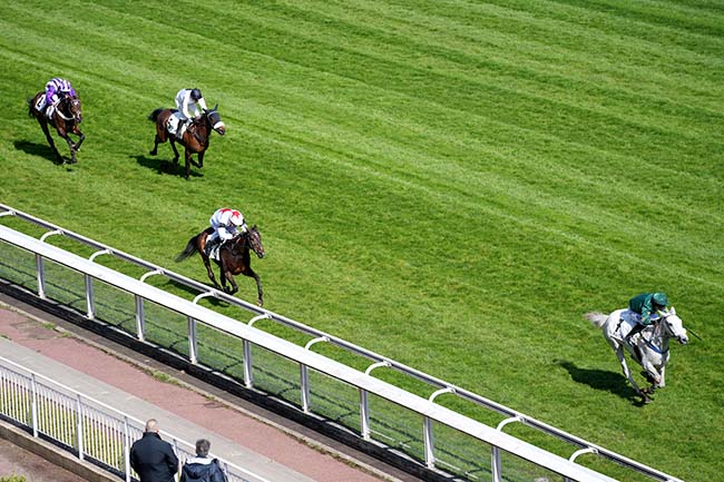 Photo d'arrivée de la course pmu PRIX GEOGRAPHIE à AUTEUIL le Samedi 28 mars 2026