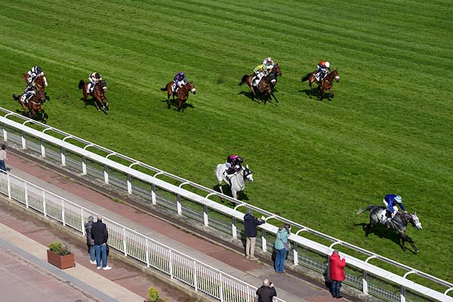 Arrivée quinté pmu PRIX ROSE OR NO à AUTEUIL