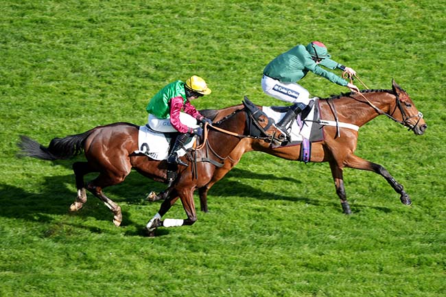 Photo d'arrivée de la course pmu PRIX COLONEL DE LA HORIE - CHALLENGE DE L'OBSTACLE EQUINAXY à AUTEUIL le Samedi 28 mars 2026