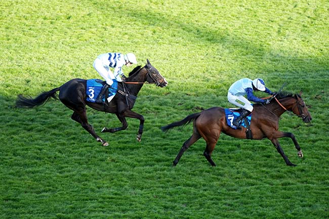Photo d'arrivée de la course pmu GRAND STEEPLE-CHASE MASTERS - PRIX MURAT à AUTEUIL le Samedi 28 mars 2026