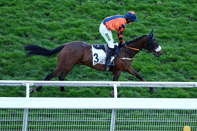 Photo d'arrivée de la course pmu PRIX DE MARSAN à AUTEUIL le Samedi 28 mars 2026