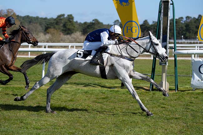 Photo d'arrivée de la course pmu PRIX DE LA SOCIETE DES COURSES DE PAU à FONTAINEBLEAU le Dimanche 29 mars 2026