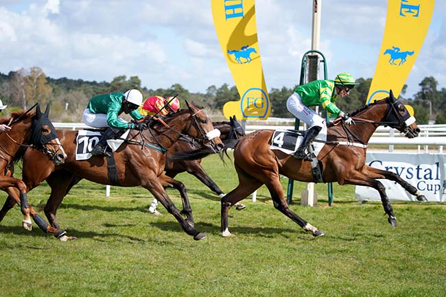 Arrivée quinté pmu PRIX DE SERMAISE à FONTAINEBLEAU
