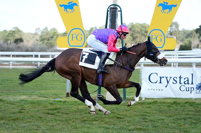 Photo d'arrivée de la course pmu PRIX DES DAGUETS à FONTAINEBLEAU le Dimanche 29 mars 2026