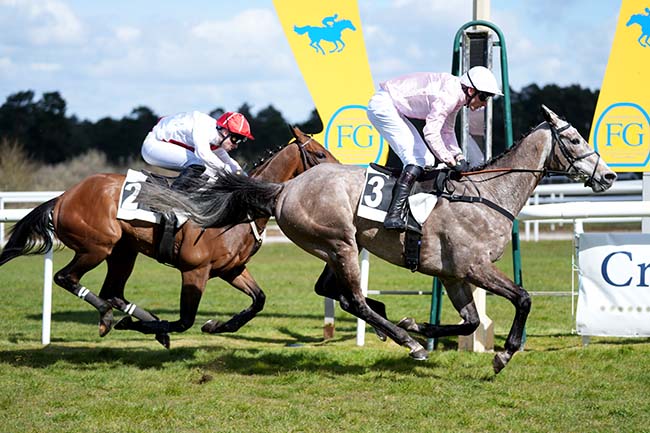 Photo d'arrivée de la course pmu PRIX ROGER WINKEL (PRIX DE LA MARE AUX COULEUVRES) à FONTAINEBLEAU le Dimanche 29 mars 2026