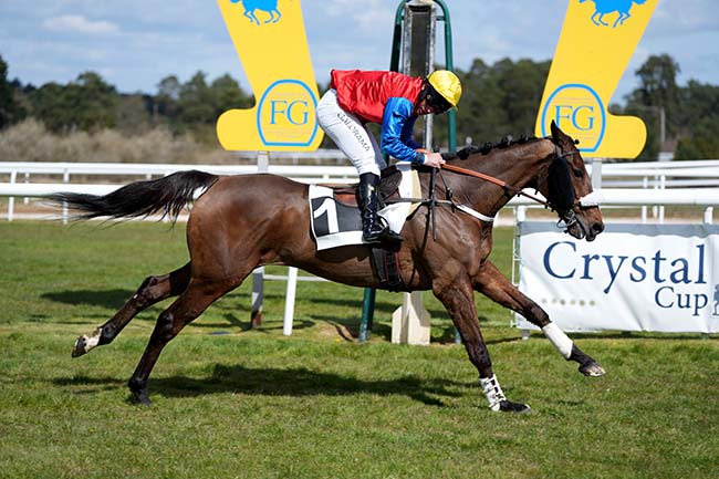 Photo d'arrivée de la course pmu GRAND STEEPLE-CHASE CROSS-COUNTRY DE FONTAINEBLEAU à FONTAINEBLEAU le Dimanche 29 mars 2026
