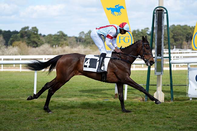 Photo d'arrivée de la course pmu PRIX DE LA COMMUNAUTE D'AGGLOMERATION DU PAYS DE FONTAINEBLEAU à FONTAINEBLEAU le Dimanche 29 mars 2026