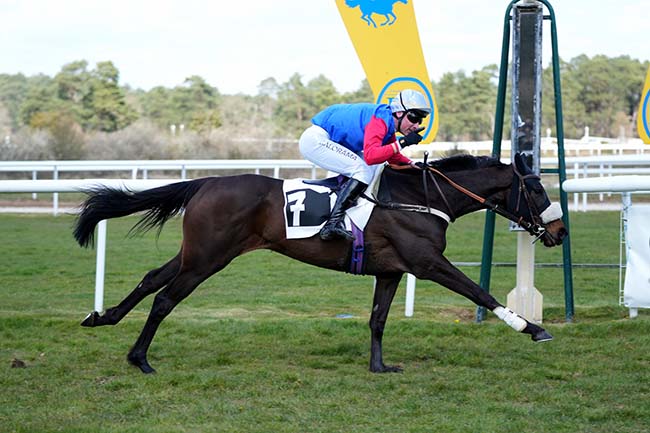 Photo d'arrivée de la course pmu PRIX QUAZVIN II à FONTAINEBLEAU le Dimanche 29 mars 2026
