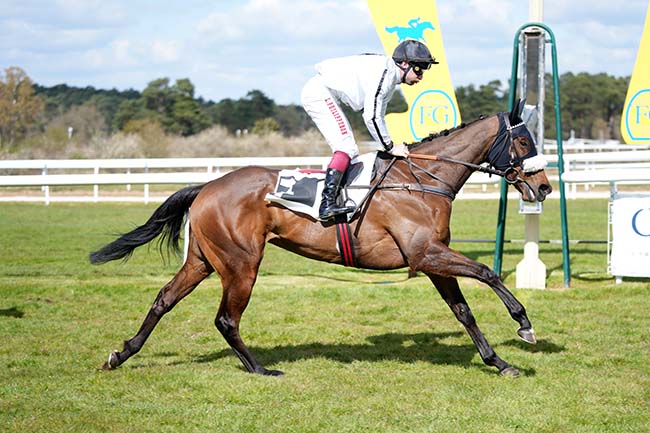 Photo d'arrivée de la course pmu PRIX KADALKO - BERNARD SECLY à FONTAINEBLEAU le Dimanche 29 mars 2026