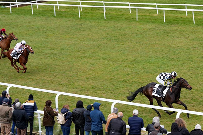 Photo d'arrivée de la course pmu PRIX DE SAMOIS-SUR-SEINE à FONTAINEBLEAU le Mardi 31 mars 2026