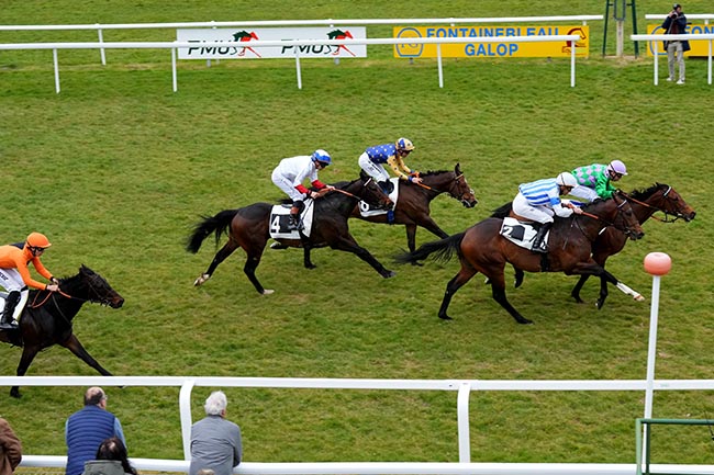 Photo d'arrivée de la course pmu PRIX DU BOIS DE LA COMMANDERIE à FONTAINEBLEAU le Mardi 31 mars 2026