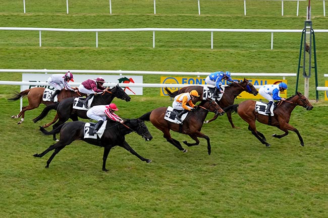 Photo d'arrivée de la course pmu PRIX GEORGES SANDOR à FONTAINEBLEAU le Mardi 31 mars 2026