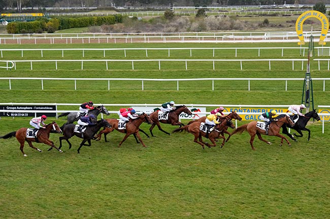Photo d'arrivée de la course pmu PRIX MERCREDES-BENZ GROUPE AUTOSPHERE (PRIX DES MARAIS) à FONTAINEBLEAU le Mardi 31 mars 2026