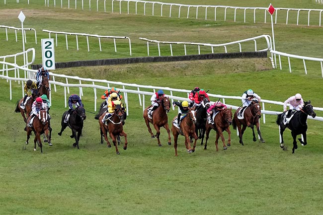 Photo d'arrivée de la course pmu PRIX DES PETITES FONTAINES à FONTAINEBLEAU le Mardi 31 mars 2026