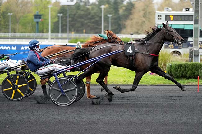 Photo d'arrivée de la course pmu PRIX ALCYONE à PARIS-VINCENNES le Mardi 31 mars 2026