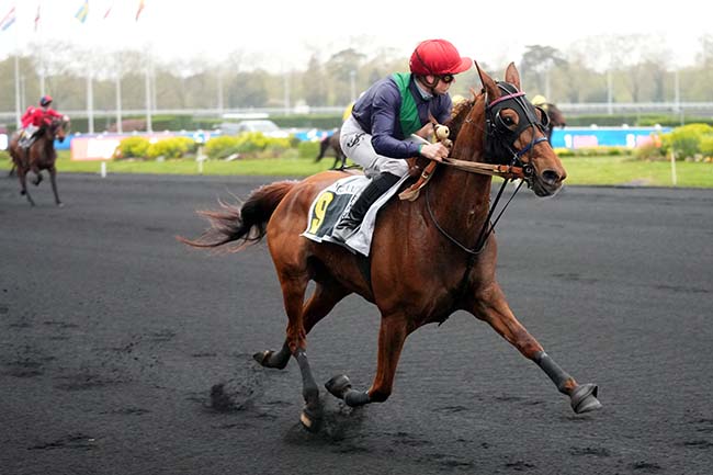 Photo d'arrivée de la course pmu PRIX ALMANON à PARIS-VINCENNES le Mardi 31 mars 2026