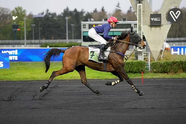 Photo d'arrivée de la course pmu PRIX ERIGONE à PARIS-VINCENNES le Mardi 31 mars 2026