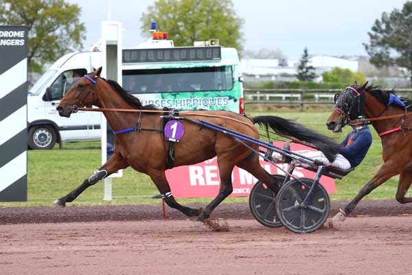 Arrivée quinté pmu GRAND PRIX ANGERS LOIRE METROPOLE à ANGERS
