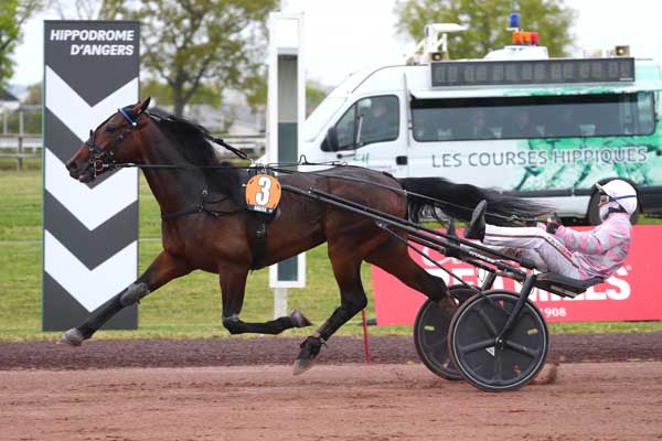 Photo d'arrivée de la course pmu PRIX TENOR DE BAUNE à ANGERS le Mercredi 1 avril 2026