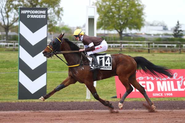 Photo d'arrivée de la course pmu PRIX ISUZU - ETABLISSEMENT PETIT à ANGERS le Mercredi 1 avril 2026