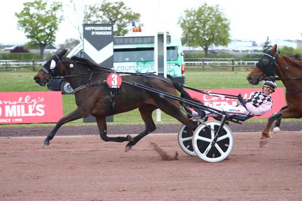 Photo d'arrivée de la course pmu PRIX INO DU LUPIN à ANGERS le Mercredi 1 avril 2026