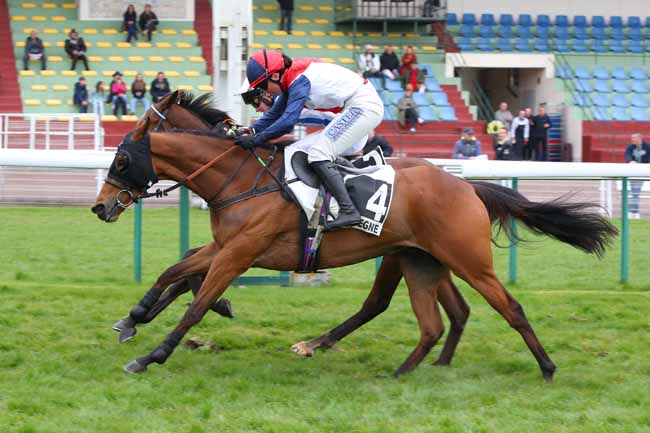 Photo d'arrivée de la course pmu PRIX LE HON à COMPIEGNE le Mercredi 1 avril 2026