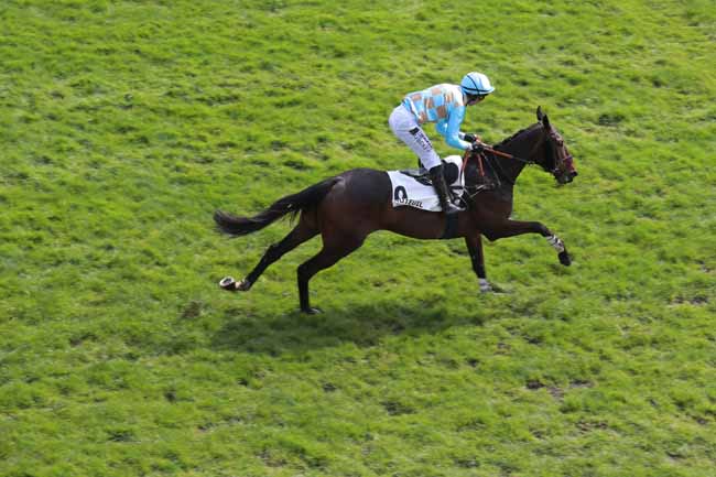 Arrivée quinté pmu PRIX ALAIN GRIMAUX à AUTEUIL