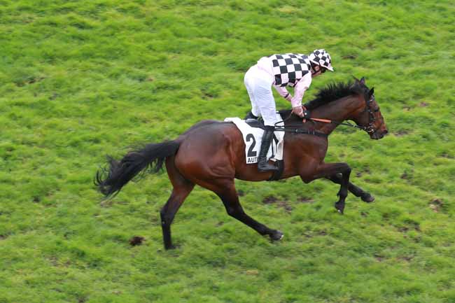 Photo d'arrivée de la course pmu PRIX CHAMPAUBERT à AUTEUIL le Jeudi 2 avril 2026