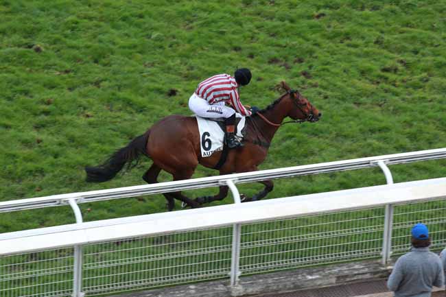Photo d'arrivée de la course pmu PRIX ROMANTISME à AUTEUIL le Jeudi 2 avril 2026