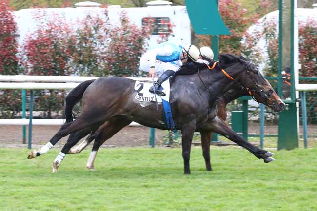 Photo d'arrivée de la course pmu PRIX DU CANAL SAINT-JEAN à CHANTILLY le Jeudi 2 avril 2026