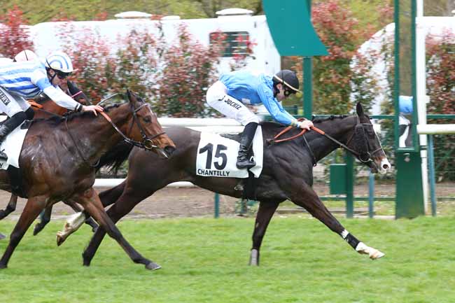 Photo d'arrivée de la course pmu PRIX DE LA ROUTE MILLARD à CHANTILLY le Jeudi 2 avril 2026
