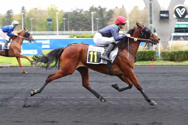 Photo d'arrivée de la course pmu PRIX DEIMOS à PARIS-VINCENNES le Vendredi 3 avril 2026