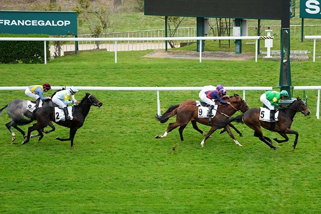 Photo d'arrivée de la course pmu PRIX BRULEUR à SAINT CLOUD le Vendredi 3 avril 2026