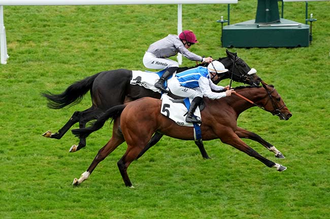 Photo d'arrivée de la course pmu PRIX EMPERY à SAINT CLOUD le Vendredi 3 avril 2026