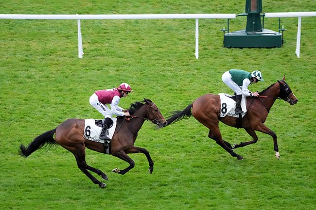 Photo d'arrivée de la course pmu PRIX DE LA VILLA EUGENIE à SAINT CLOUD le Vendredi 3 avril 2026