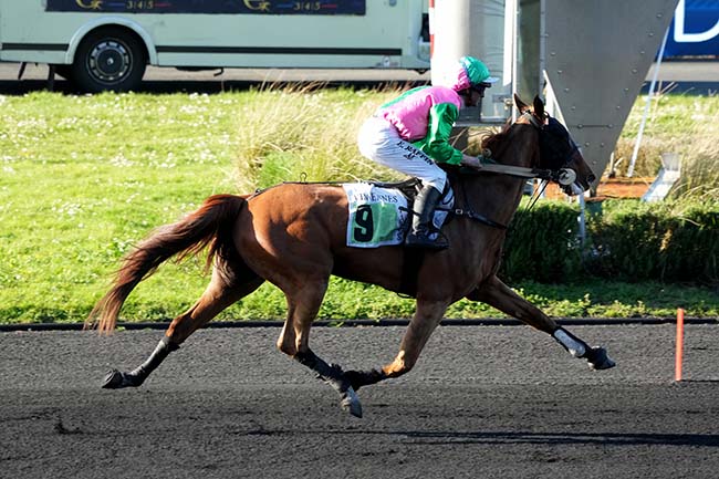 Photo d'arrivée de la course pmu PRIX DE DORCEAU à PARIS-VINCENNES le Samedi 4 avril 2026
