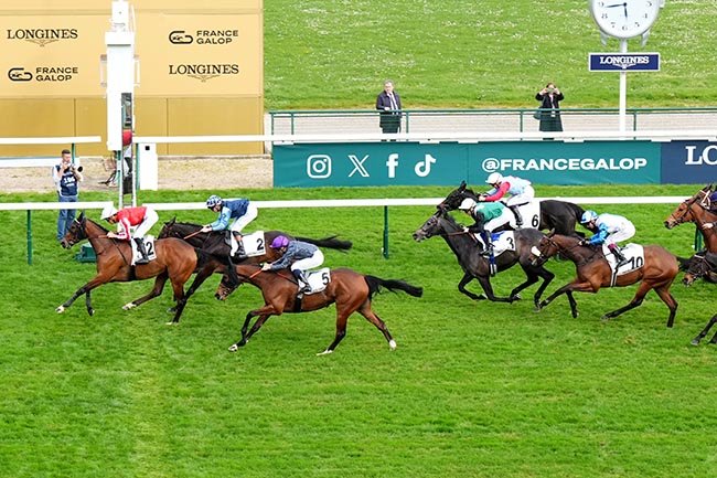 Photo d'arrivée de la course pmu PRIX ZARKAVA à LONGCHAMP le Dimanche 5 avril 2026