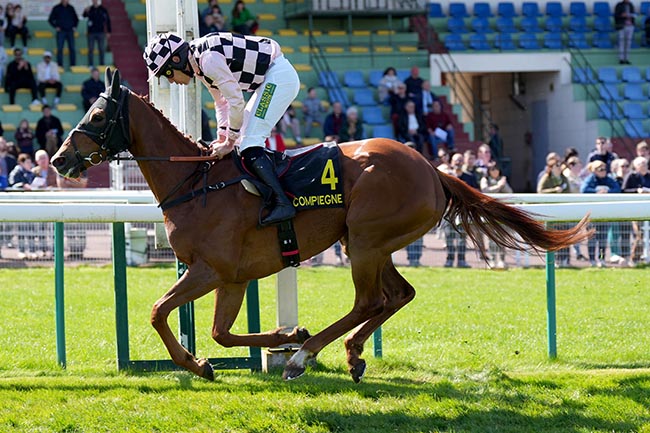 Photo d'arrivée de la course pmu PRIX LA NOUBA à COMPIEGNE le Lundi 6 avril 2026