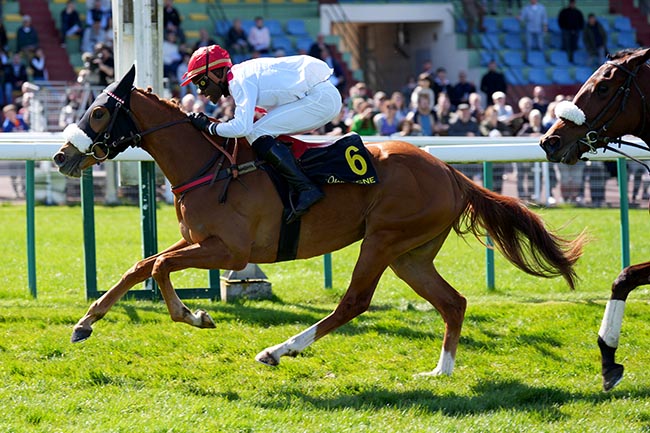 Photo d'arrivée de la course pmu PRIX DES CADETTES à COMPIEGNE le Lundi 6 avril 2026