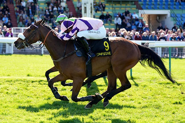 Photo d'arrivée de la course pmu PRIX ORVILLIERS à COMPIEGNE le Lundi 6 avril 2026