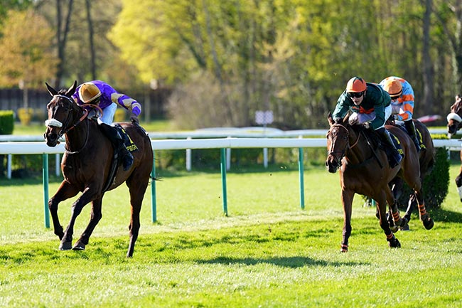 Photo d'arrivée de la course pmu PRIX DE L'ILE DE RE à COMPIEGNE le Lundi 6 avril 2026