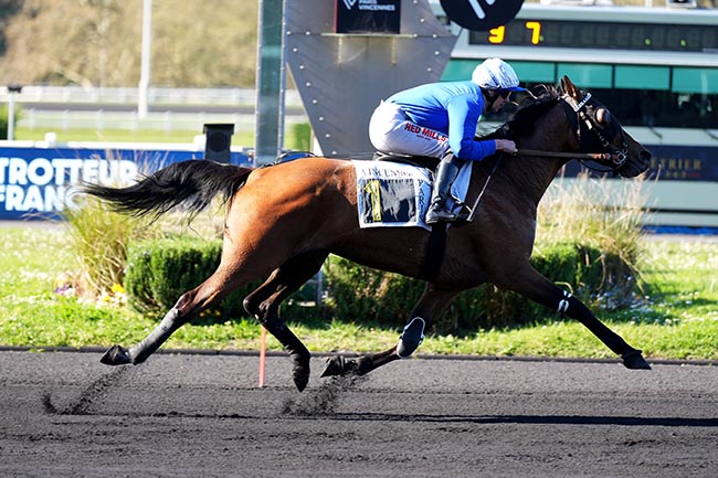 Photo d'arrivée de la course pmu PRIX AETHRA à PARIS-VINCENNES le Mardi 7 avril 2026