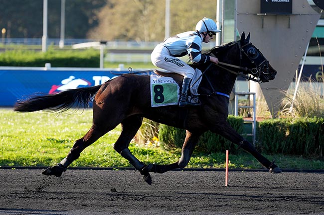 Photo d'arrivée de la course pmu PRIX COELESTINA à PARIS-VINCENNES le Mardi 7 avril 2026