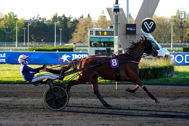 Photo d'arrivée de la course pmu PRIX PALMA à PARIS-VINCENNES le Mardi 7 avril 2026