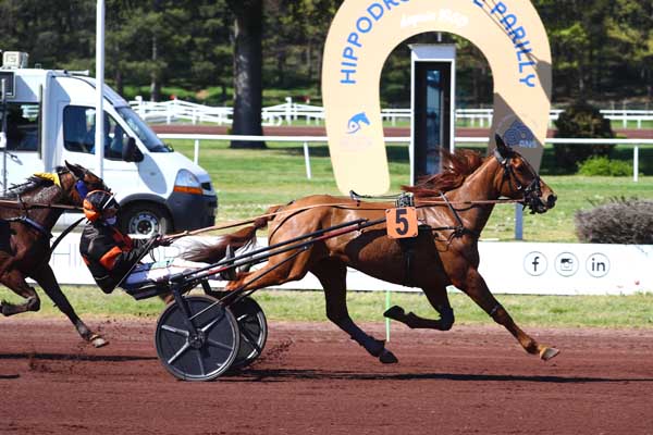 Photo d'arrivée de la course pmu PRIX DU CSI JUMPING DE BOURG-EN-BRESSE - PRIX DE BORDEAUX à LYON PARILLY le Mercredi 8 avril 2026